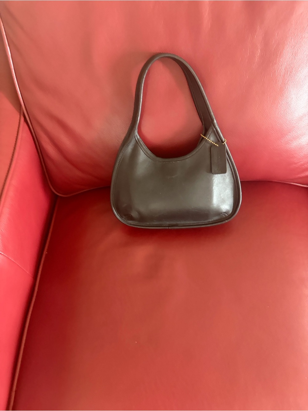 Coach Mini Ergo